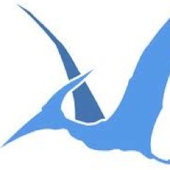 DactylNation's profile picture. Winning Championships and laying pipe since 1642. #TNDO #FuckAvonLake #FBGM #TGOD