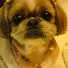 architec's profile picture. 