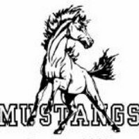 Mustang Softball (@bvnorthsoftball) 's Twitter Profile