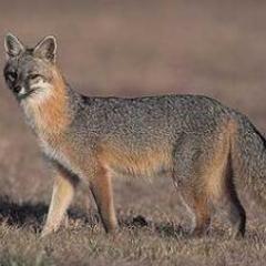 TTSSHHTest's profile picture. 