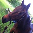 marisa - @Marisa_Dean - Twitter