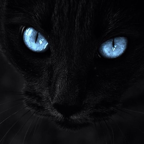 superx1883's profile picture. 