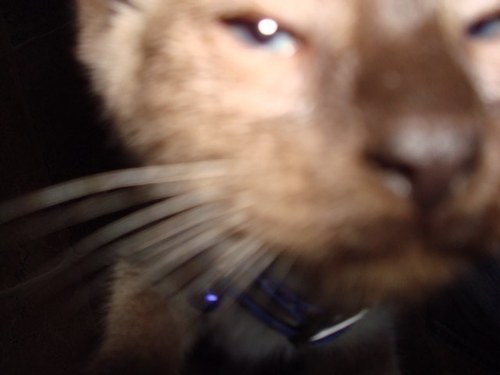 robertdenco_rob's profile picture. 