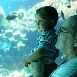 bluesman5555's profile picture. I'm short,fat,balding & mad.I tweet about law,mental health,social justice,politics,sport,coffee & the Blues.If I defame you don't sue me, I'm judgment proof.