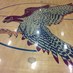 Freedom Athletics (@freedom_athltcs) Twitter profile photo Freedom Athletics (@freedom_athltcs) Twitter profile photo