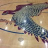 Freedom_Athltcs's profile picture. This is a twitter account for Freedom High School Athletics information.