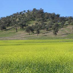 Liverpool Plains Shire Council extends from the top of the Great Dividing Range to Currabubula and west across the plains to the village of Premer.