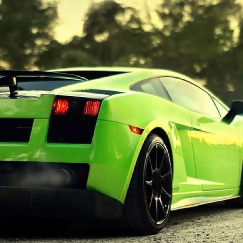 RMakovicka's profile picture. 