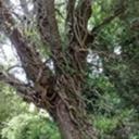 Thomas Bourdon - @Thomas_Bourdon - Twitter