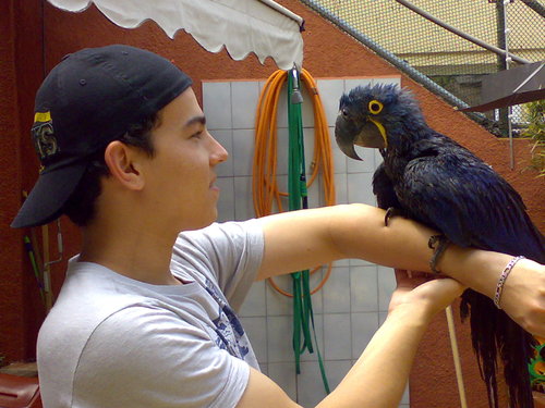 WagnerAS's profile picture. 