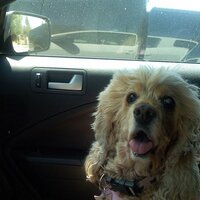 Devon Cormier (@devoncormier) 's Twitter Profile