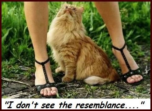 popashley10's profile picture. 