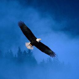 taha_sy's profile picture. 