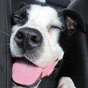 Denise forbes - @esraguler1982 - Twitter