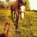 Kaitlyn Jay - @kj739 - Twitter