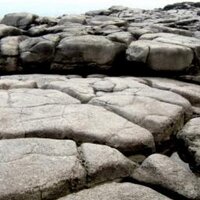 Petra[적폐로돌려막은나라] (@petra_miso) 's Twitter Profile Photo