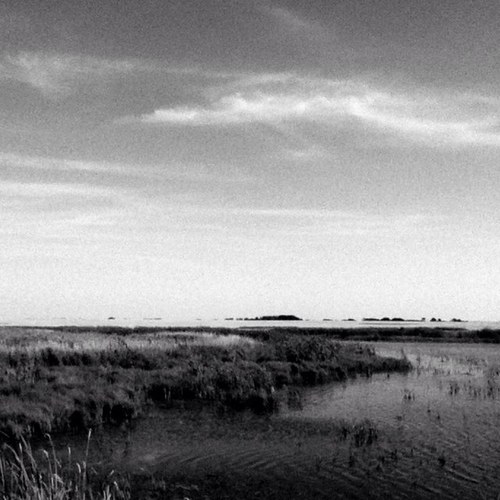 maxhall78620338's profile picture. I like muffins but not the fat kind, the skinny kind, but not the gross kind, the pretty kind, but not the crunchy kind, the soft kind, the kind of crunchy kind