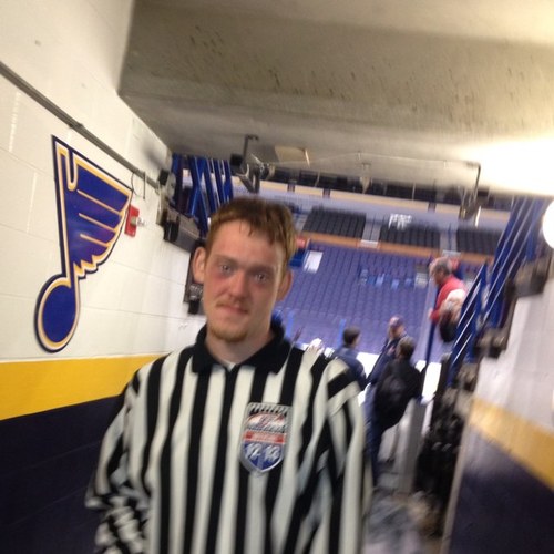 stock trader, referee hockey, Lawncare professional. Stl Blues and Mets