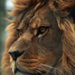 badrovich's profile picture. 