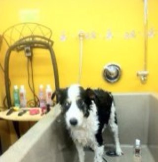 johntebb's profile picture. selling sitka spruce to the guitar and piano world. loves the world of marathon and ironman triathlons lucky husband and father.Go SEAHAWKS