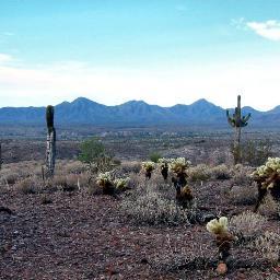 abdulrahman_rab's profile picture. 