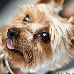 marciaBorne's profile picture. Lives in Sussex 2 great children loves music and the theatre