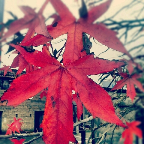 tonywilly4's profile picture. Solo una grande voglia di sognare