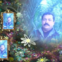 mohmmedapdo1's profile picture. 