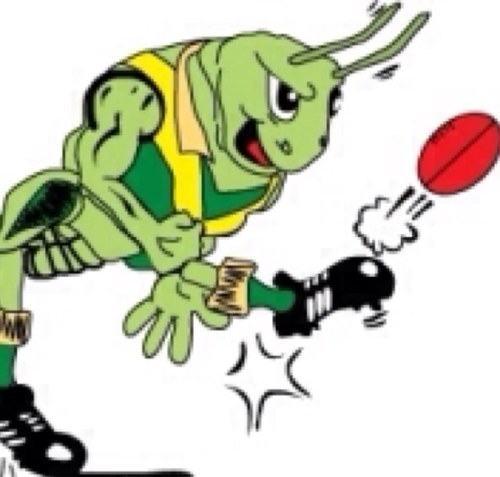 We are located on kenny road, we have netball and football sides.. Watch the hoppers swarm!!