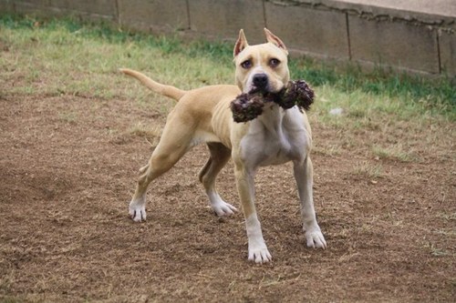 joannani88's profile picture. 