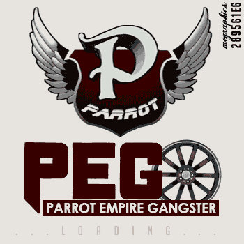 We promote & manage artist,models,DJ's,Businesses,fashion,etc online. we organize events.. PEG loading..6F4E562