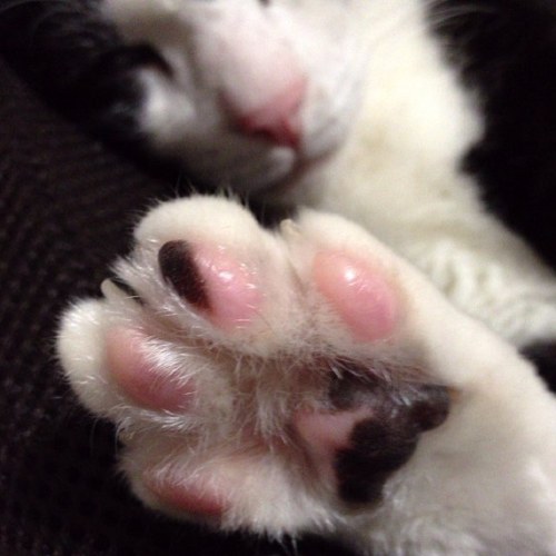 hirotomoon02220's profile picture. 