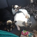 Suzanne Webster - @snwebster81 - Twitter