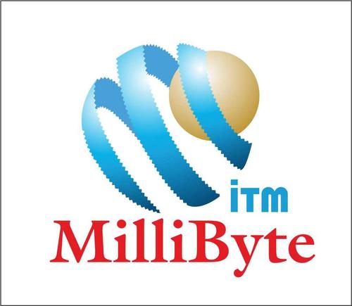 2006-cı ildə təsis edilən MilliByte, müxtəlif İT xidmətləri:  proqram təminatları və web-layihələrin hazırlanması, İT konsaltinq və İT treninqlər təklif edir.