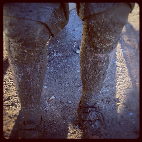 JDK_official's profile picture. Nomad. Occasional diver, golfer, mountain biker, gardener and music consumer. Full time collector of hobbies.