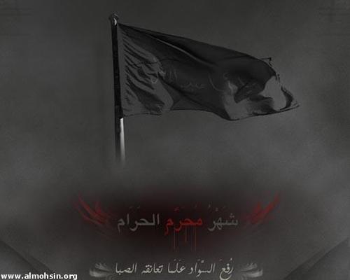 bumuhamad85's profile picture. لا تقل من اين ابدأ طاعة الله هي البدايه :)