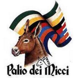 Eventi turistico culturali e manifestazioni folkloristiche della piana versiliese di Querceta, Ripa e Pozzi.