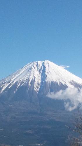 himawari812023's profile picture. 