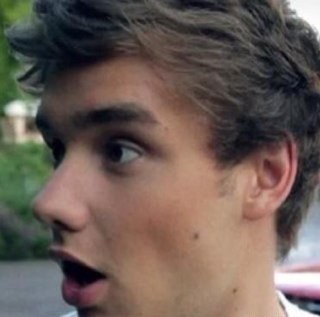 Not one of those cute accounts that answer you nicely if you say a word against my babys! 1D & DL. •STAY STRONG•