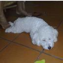 leonor casanova - @leonorcasanova2 - Twitter