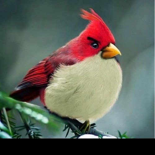 radekwt1's profile picture. «نار لم تحرق ابراهيم , سكين لم تقتل اسماعيل ، بحر لم يغرق موسى و حوت لم يأكل يونس! قل لن يصِيبنا إلا ما كتب الله لنا!»