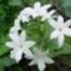 gfdghjj54's profile picture. 