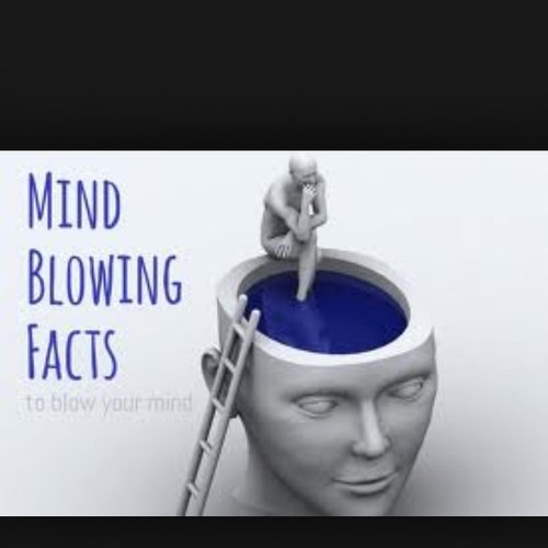 follow me for a bunch of facts,feel free to google any of my facts cause there #100%true
