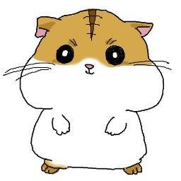 美味しいハムやらベーコンさんにお肉やらを取り扱うWEBショップをDeNAショッピング(ビッダーズ)でやってたりするのは内緒の方向です☆
（11月末から12月月初にかけてオープンです！）