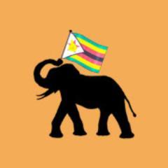 Zimbabwech's profile picture. Zimbabwe Challenge is a registered charity helping the poorest of the poor become self sufficient.