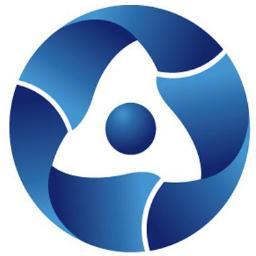 RadiationSaf's profile picture. 