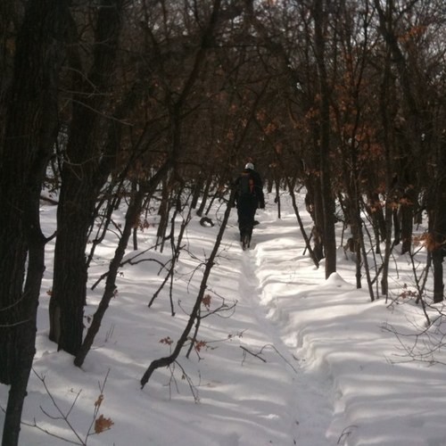 daebur's profile picture. 