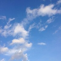 low遥 (@edsion2012) 's Twitter Profile