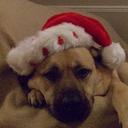 Becky Harvey - @auntbettys33 - Twitter