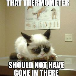 Todd_Hook's profile picture. Trust your pilot, respect your monkey!